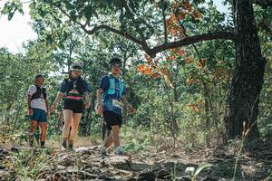 BIB: 
                            <button type="button" onclick="openModal(26113948)" class="btn btn-primary btn-sm float-right btn-popup" data-toggle="modal" data-target=".modal-high-quality">
                        <i class="fas fa-shopping-cart"></i> Add to Cart
                    </button>
                                            <button type="button" onclick="isThisMe(26113948, true)" class="btn btn-success btn-sm float-right btn-popup btn-isme hidden" data-toggle="tooltip" data-placement="bottom" title="นี่คือรูปของคุณใช่ไหม คลิกที่นี่เพื่อเอาเข้าอัลบั้ม">
                        <i class="fas fa-plus"></i> Add to album
                    </button>
                    <button type="button" onclick="isThisMe(26113948, false)" class="btn btn-warning btn-sm float-right btn-popup btn-isnotme hidden">
                        <i class="fas fa-ban"></i> Remove from album
                    </button>